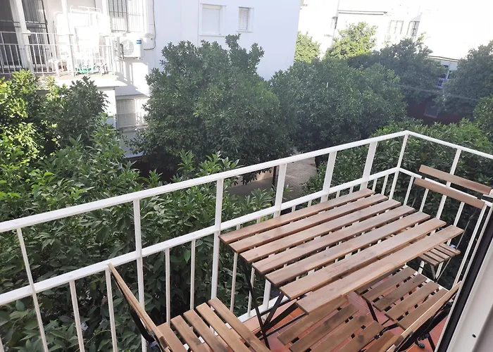 Savio Apartamento